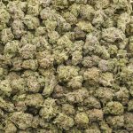 Cherry Lemonade AAAA Popcorn - Indica