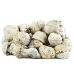 Wholesale - Shrooms - Iceberg
