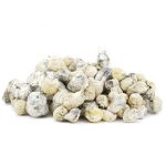 Wholesale - Shrooms - Pearly Gates