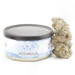 Notorious THC Craft - Blue Burst (7 Grams)