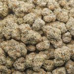 Wholesale - Platinum Gushers - Craft