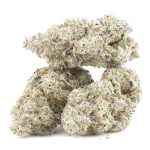 Wholesale - White Death - Craft - Image 2