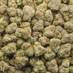 Wholesale - Banana Runtz - AAA