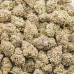 Wholesale - MAC Burger - AAA