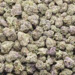 Wholesale Popcorn - Black Domina 98 - Craft