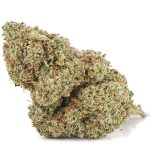 Danky Kong AA - Indica