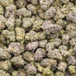 Wholesale Popcorn - Flurple - Craft