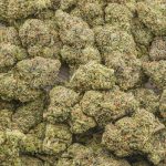 Wholesale - G13 Widow - AAAA