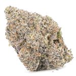 King Kong AAA - Indica