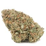 Master Hammer AA - Indica