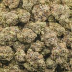 Wholesale - MK Ultra - AAAA