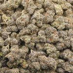 Wholesale - Poison Berry - AAAA