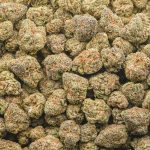Sacrificial Lamb AAA Popcorn - Sativa