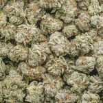Death Star Craft Popcorn - Indica