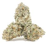 Wholesale - Jedi Kush - Craft - Image 2