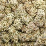Wholesale - Tahoe OG - Craft